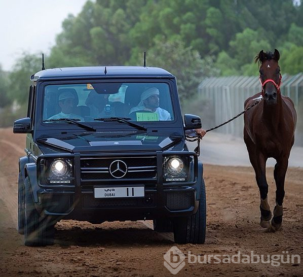 Dubai Prensi`nin çılgın fotoğrafları...