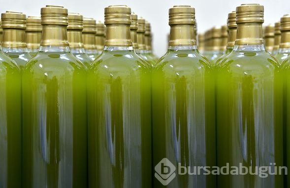 Zeytinden doğan mucize: Zeytin sütü
