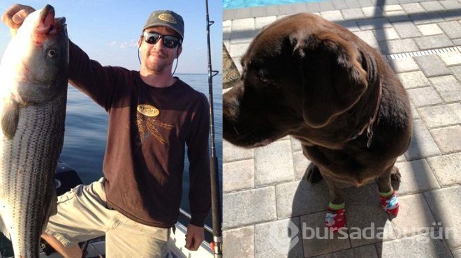 Köpeği timsah tarafından parçalandıktan sonra canına kıydı!