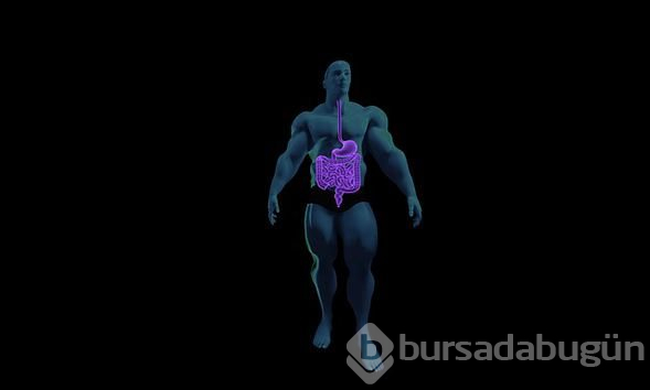 Bağırsaklar en duygusal organımız
