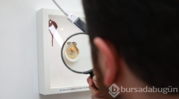 Mikro art sanatçısı Kale'den Başkentlilere gösteri
