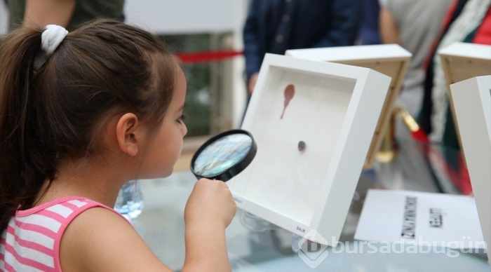 Mikro art sanatçısı Kale'den Başkentlilere gösteri

