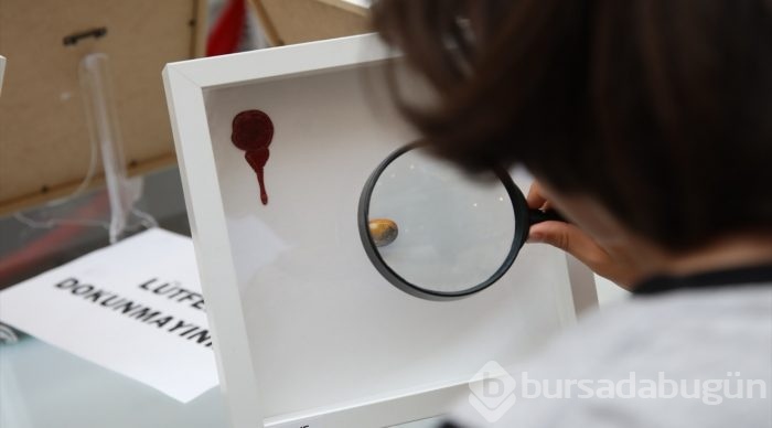 Mikro art sanatçısı Kale'den Başkentlilere gösteri
