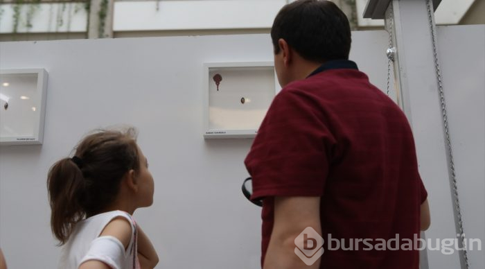 Mikro art sanatçısı Kale'den Başkentlilere gösteri
