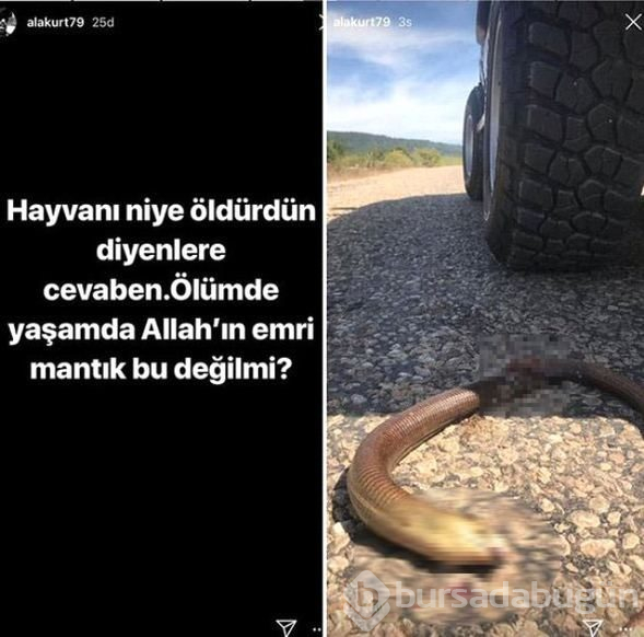 Öldürdüğü hayvanın fotoğrafını paylaşan Mehmet Akif Alakurt'tan pişkin savunma!
