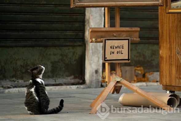 Banksy Venedik'te tezgah açtı
