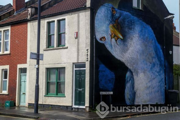 Banksy Venedik'te tezgah açtı
