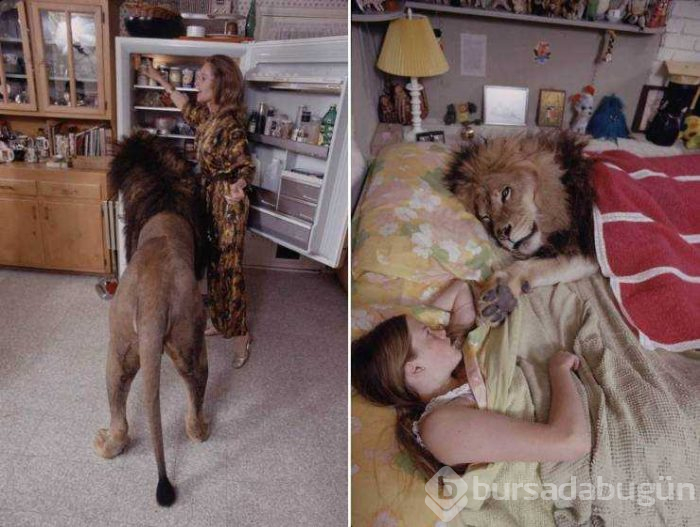 Günün en çok paylaşılan fotoğrafları (29.05.2019)
