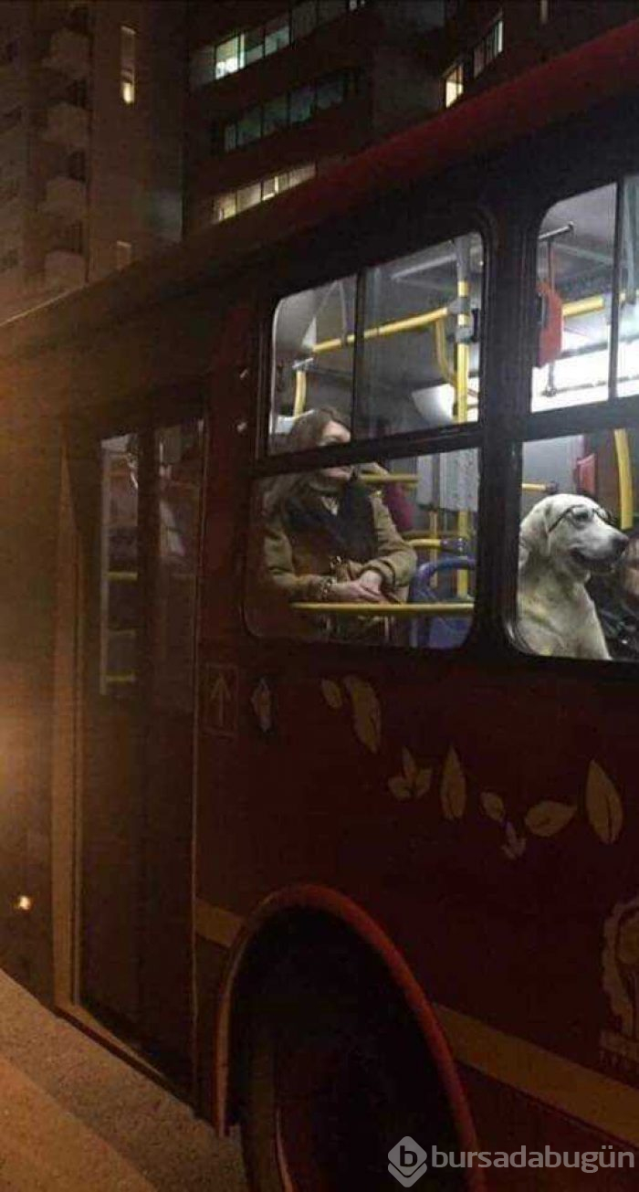 Günün en çok paylaşılan fotoğrafları (30.05.2019)
