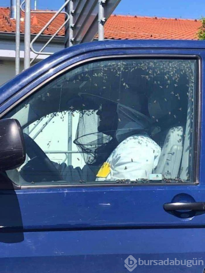 Günün en çok paylaşılan fotoğrafları (30.05.2019)
