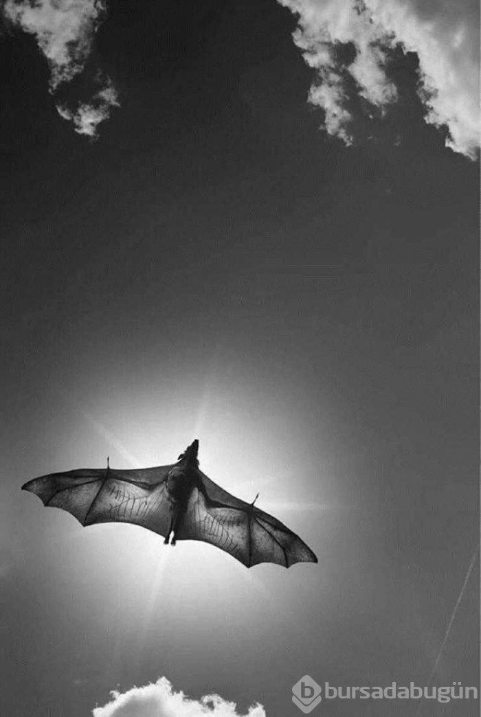 Günün en çok paylaşılan fotoğrafları (30.05.2019)