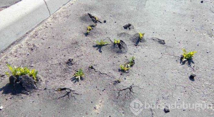 Günün en çok paylaşılan fotoğrafları (30.05.2019)