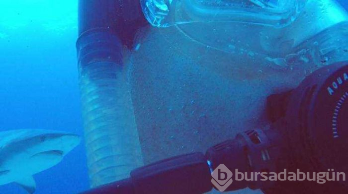 Günün en çok paylaşılan fotoğrafları (30.05.2019)