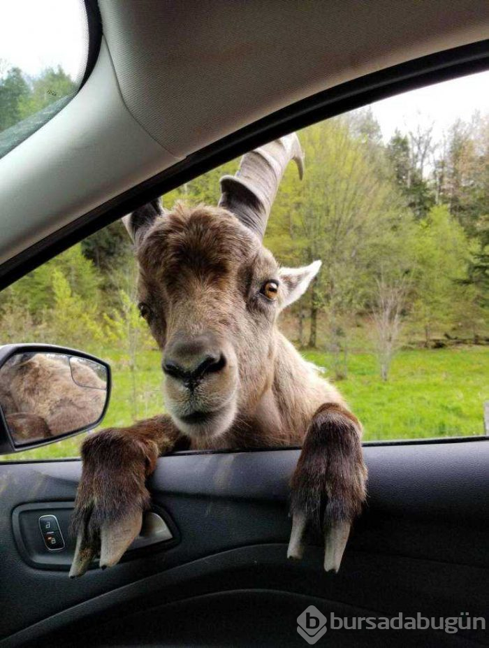 Günün en çok paylaşılan fotoğrafları (30.05.2019)