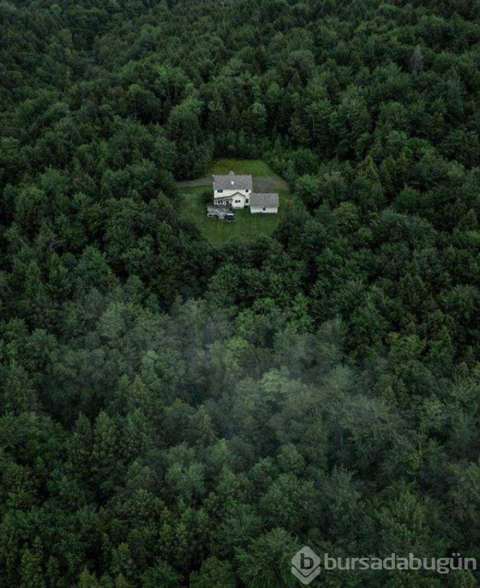 Günün en çok paylaşılan fotoğrafları (30.05.2019)