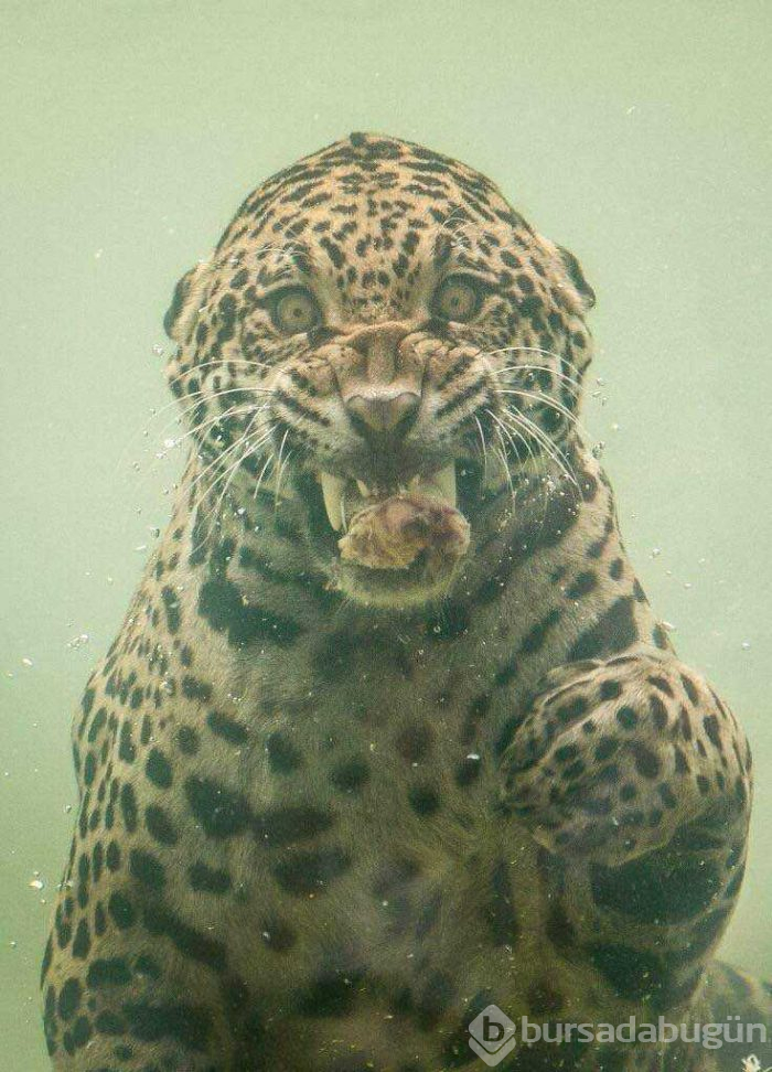 Günün en çok paylaşılan fotoğrafları (30.05.2019)