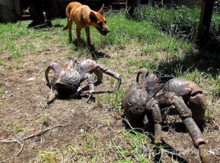 Günün en çok paylaşılan fotoğrafları (30.05.2019)