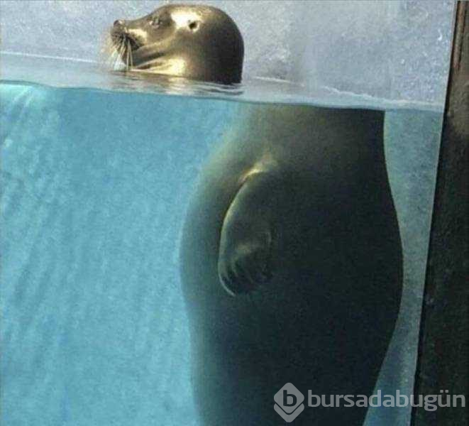Günün en çok paylaşılan fotoğrafları (30.05.2019)