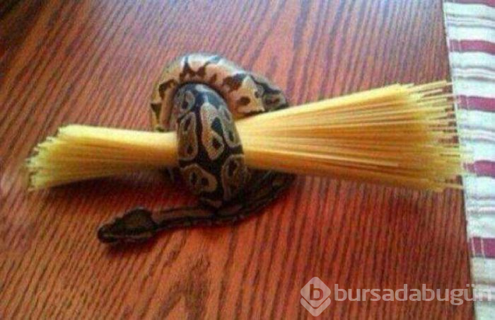Günün en çok paylaşılan fotoğrafları (30.05.2019)