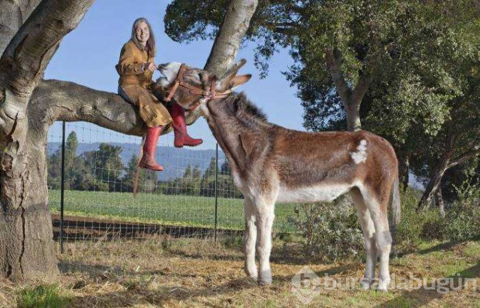 Günün en çok paylaşılan fotoğrafları (30.05.2019)