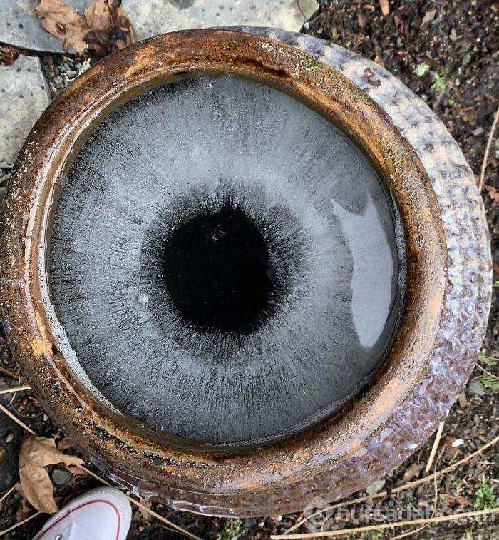 Günün en çok paylaşılan fotoğrafları (31.05.2019)