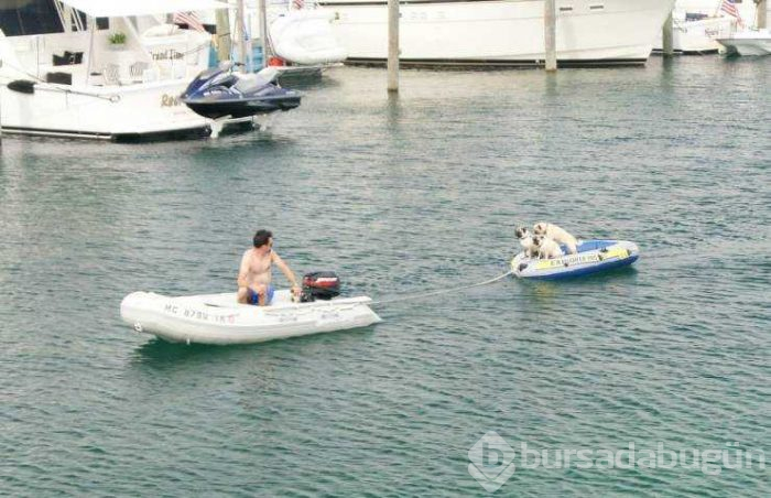 Günün en çok paylaşılan fotoğrafları (31.05.2019)