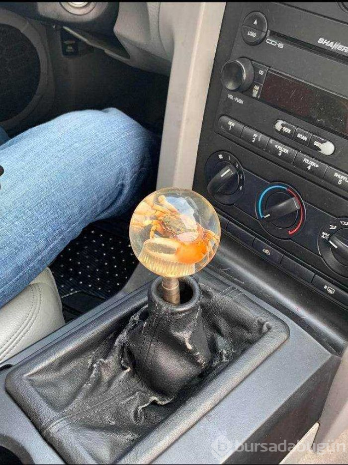 Günün en çok paylaşılan fotoğrafları (31.05.2019)