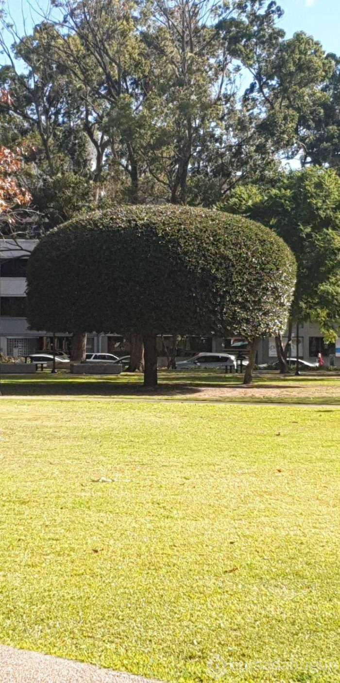 Günün en çok paylaşılan fotoğrafları (31.05.2019)