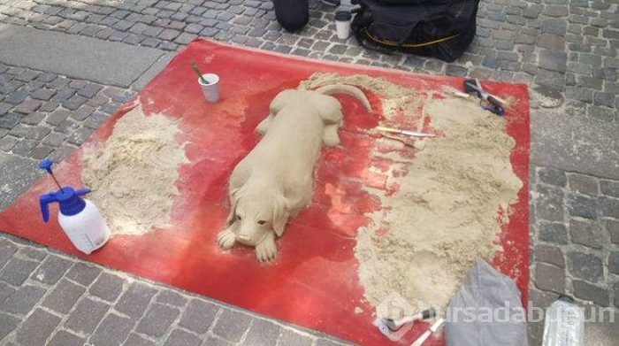 Günün en çok paylaşılan fotoğrafları (31.05.2019)