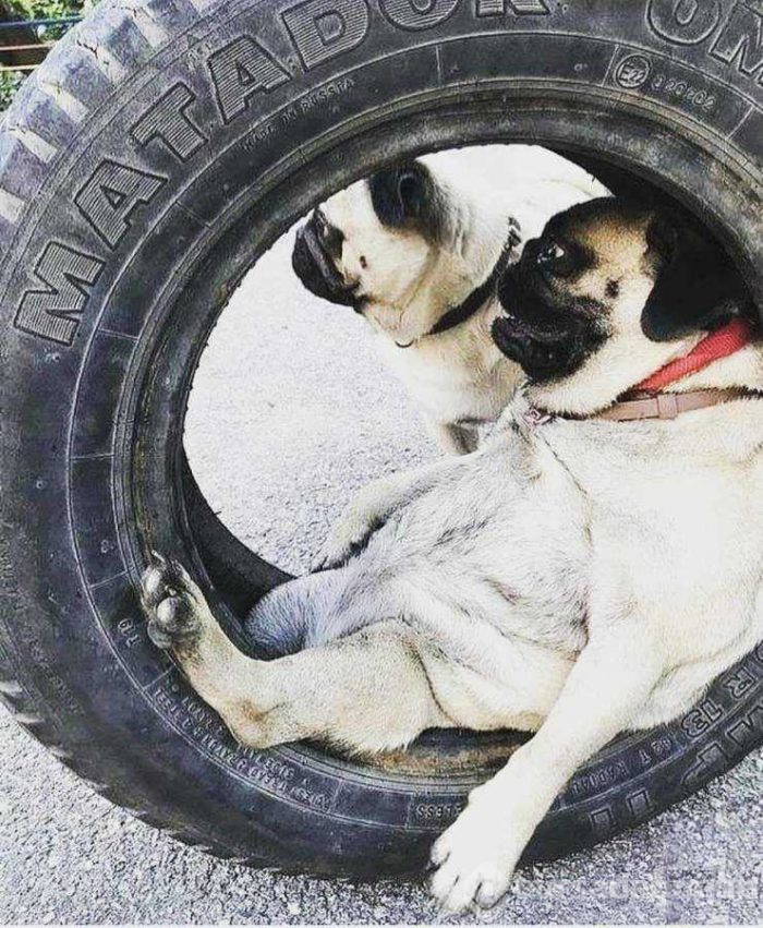 Günün en çok paylaşılan fotoğrafları (31.05.2019)