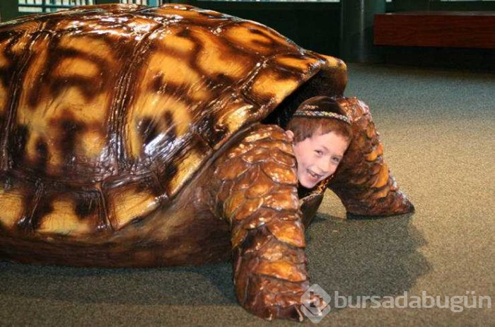 Günün en çok paylaşılan fotoğrafları (31.05.2019)