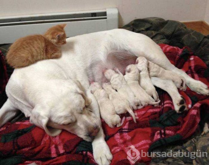 Günün en çok paylaşılan fotoğrafları