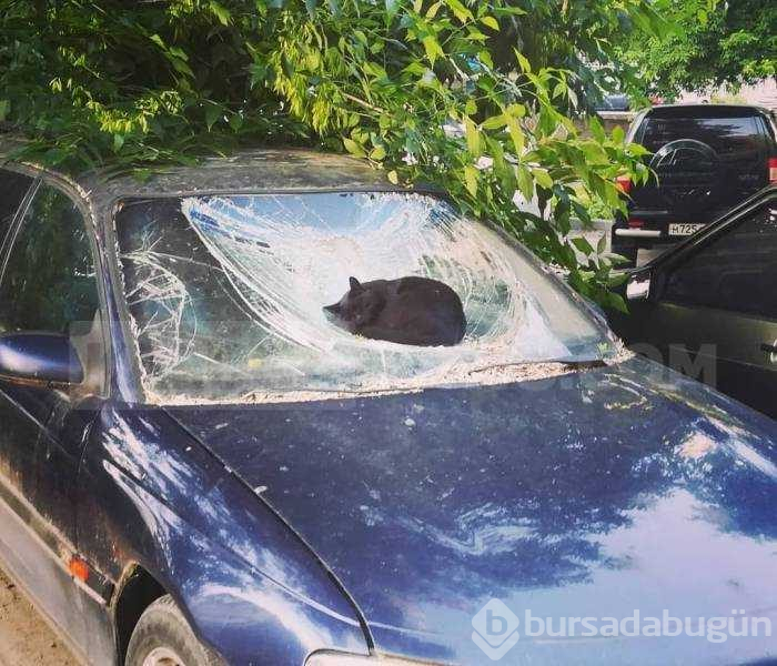 Günün en çok paylaşılan fotoğrafları