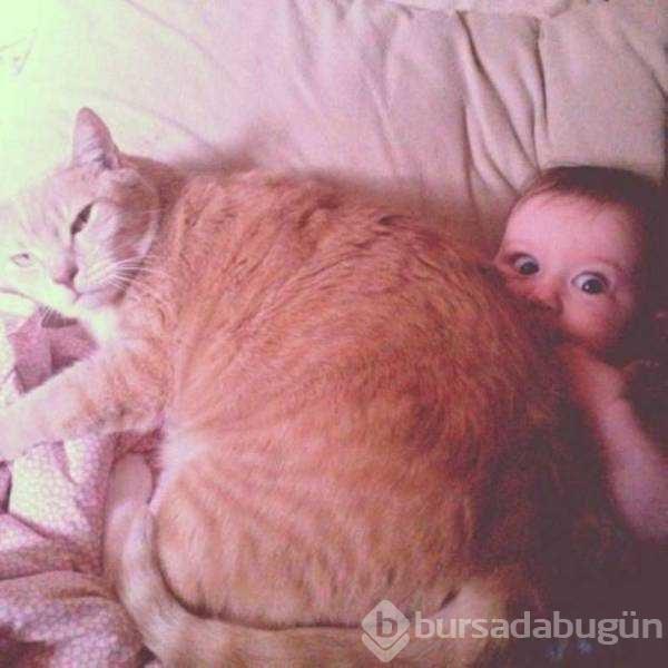 Günün en çok paylaşılan fotoğrafları