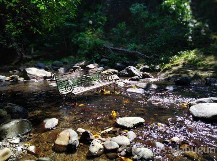 Günün en çok paylaşılan fotoğrafları