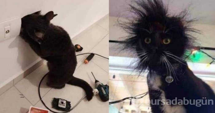 Günün en çok paylaşılan fotoğrafları