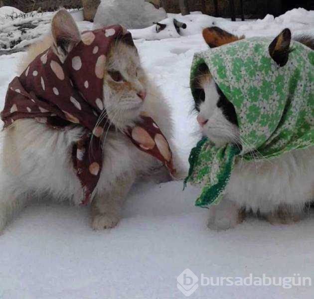 Günün en çok paylaşılan fotoğrafları