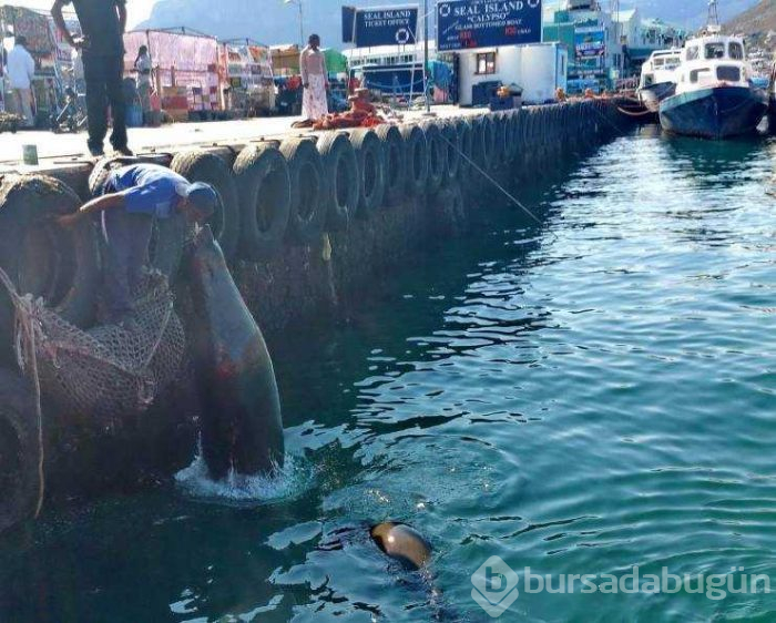 Günün en çok paylaşılan fotoğrafları