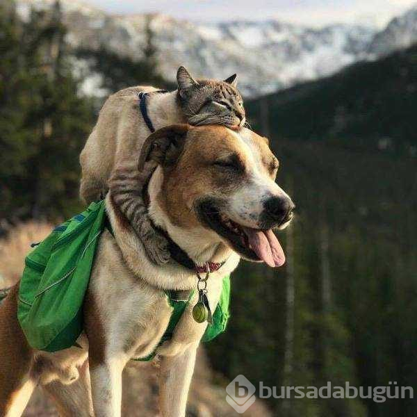 Günün en çok paylaşılan fotoğrafları
