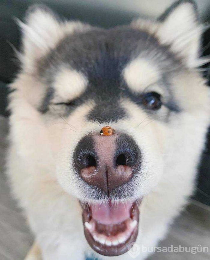 Günün en çok paylaşılan fotoğrafları