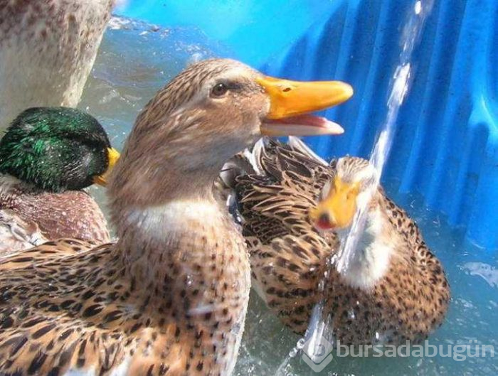 Günün en çok paylaşılan fotoğrafları