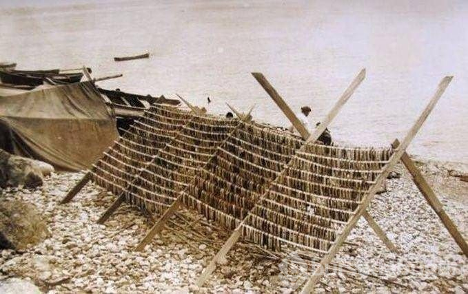 Rus arşivinden 138 yıl öncesine ait İstanbul fotoğrafları
