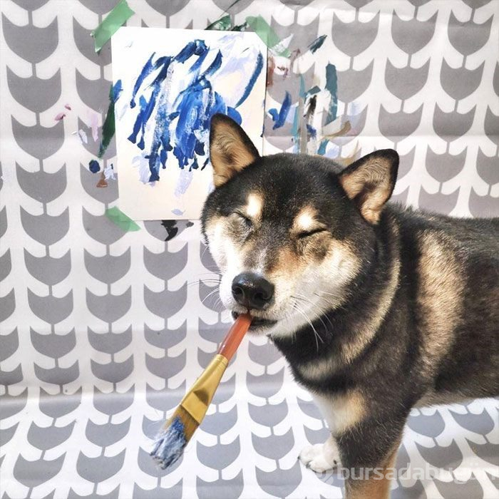 Yeni yıldız 84 yaşındaki Japon dede (Instagram'ın sıra dışı fenomenleri)