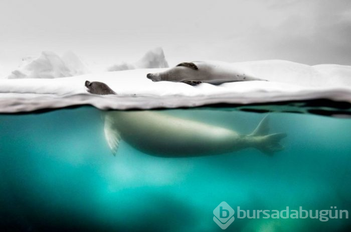 National Geographic Seyahat Fotoğrafı Yarışması'nın sonuçları belli oldu