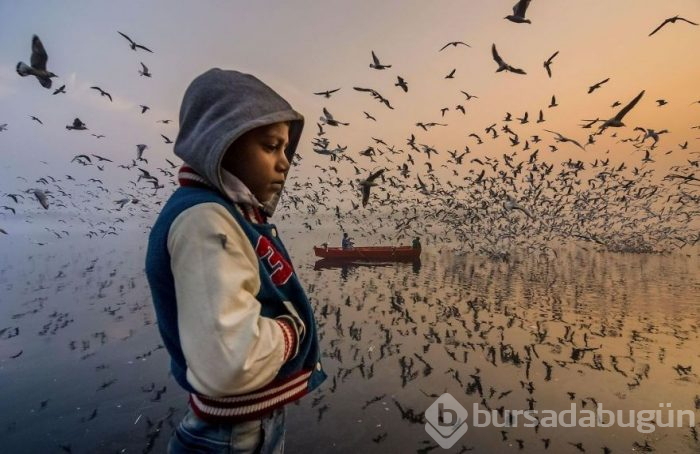 National Geographic Seyahat Fotoğrafı Yarışması'nın sonuçları belli oldu