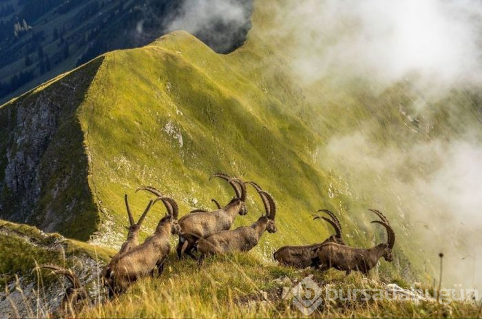 National Geographic Seyahat Fotoğrafı Yarışması'nın sonuçları belli oldu