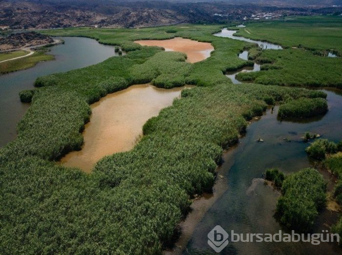 Ağrı Dağı eteklerinde bulunan milli park, ziyaretçilerini kendine hayran bırakıyor