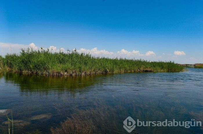 Ağrı Dağı eteklerinde bulunan milli park, ziyaretçilerini kendine hayran bırakıyor