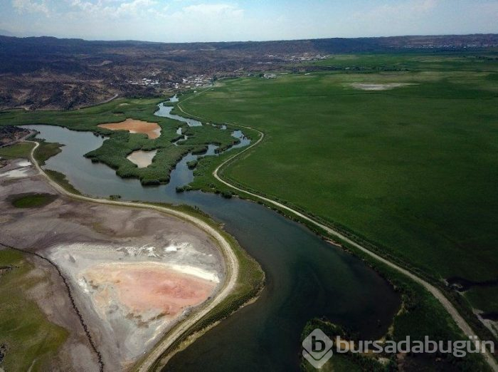 Ağrı Dağı eteklerinde bulunan milli park, ziyaretçilerini kendine hayran bırakıyor