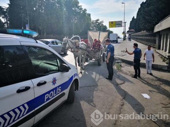 İstanbul'da milyonluk yağma!